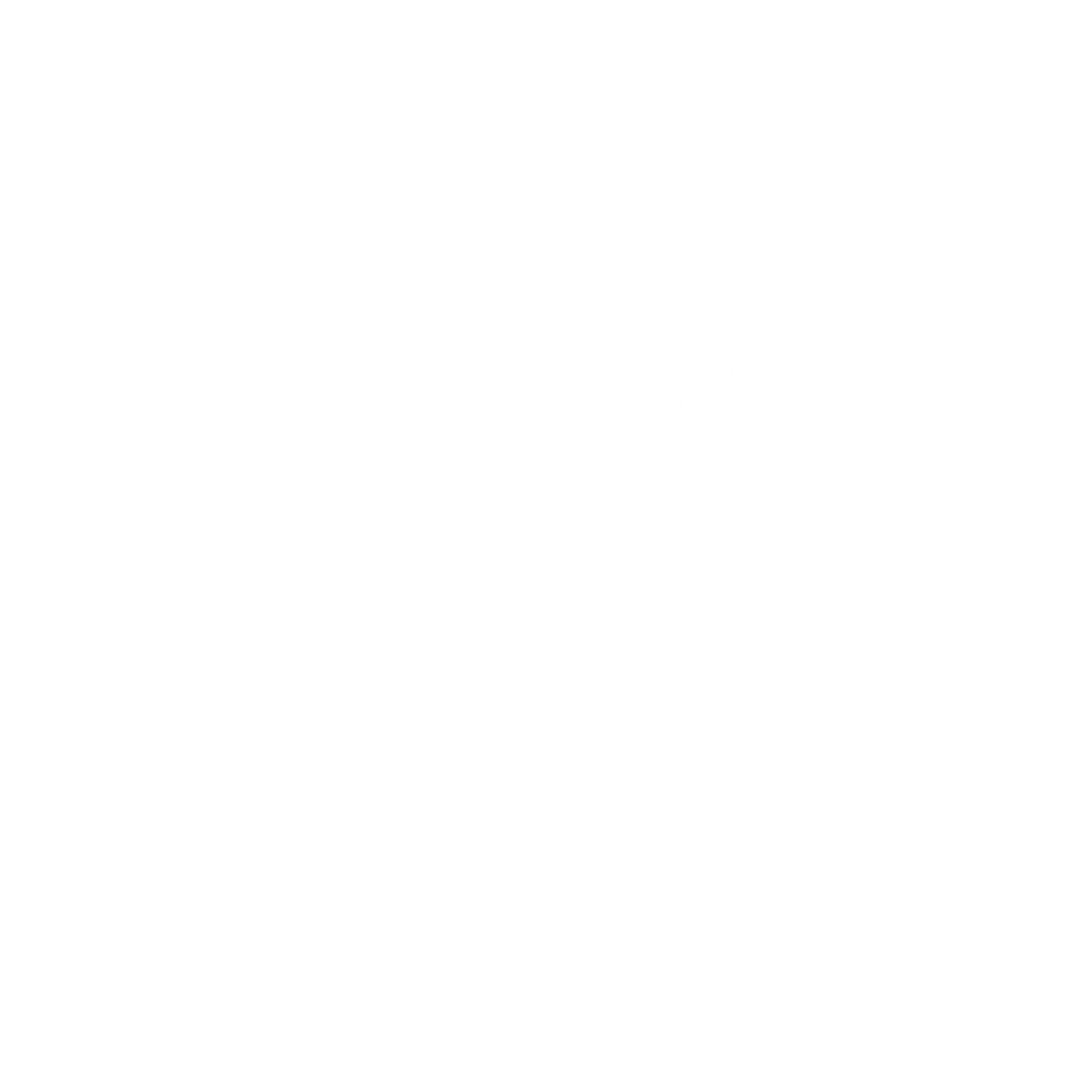 Animation and explainer Videos