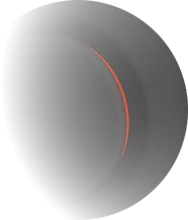B1